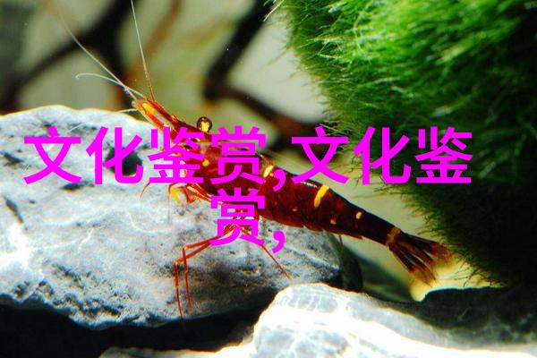 王海飞近三十年来中国影视人类学的发展与研究