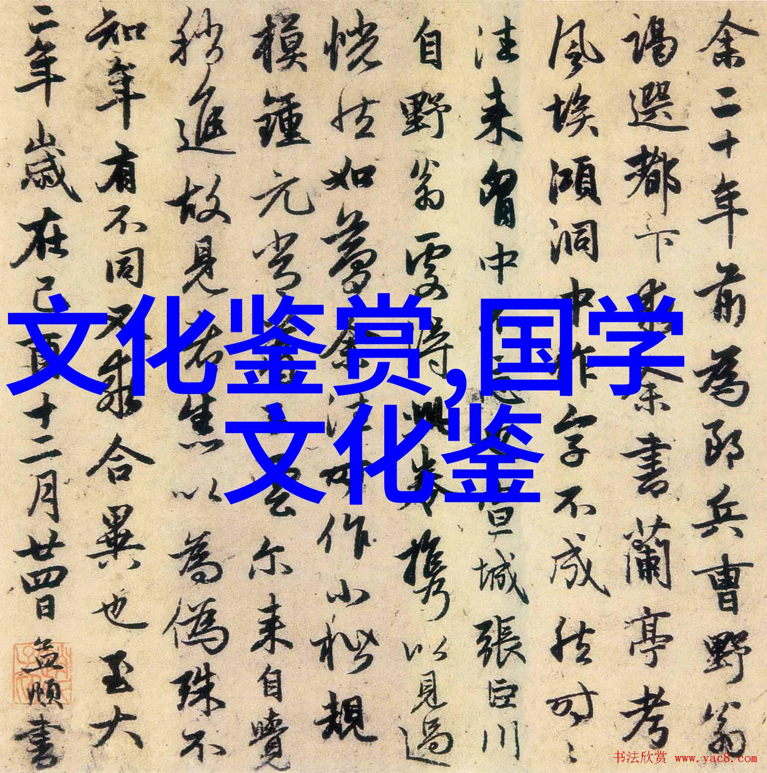 央视见证聚焦老坟岗
