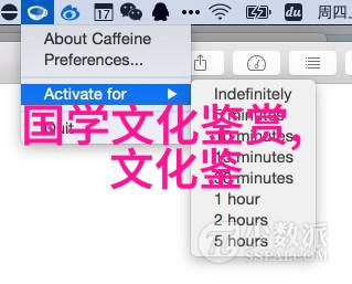 郝颜的影像与乡愁的生产