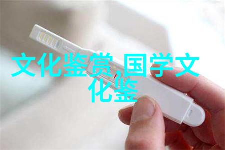 崔卫平闭幕三次的北京独立影像展
