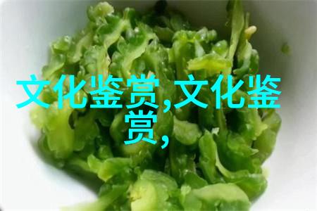 第五届影视人类学国际学术研讨会综述
