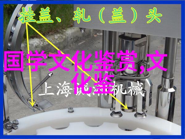 朱靖江归去来兮人类学视野中的乡土中国与影像表达
